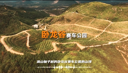 【新湖南】视频 | 临武汽车拉力赛完美收官，竞速永无终章！