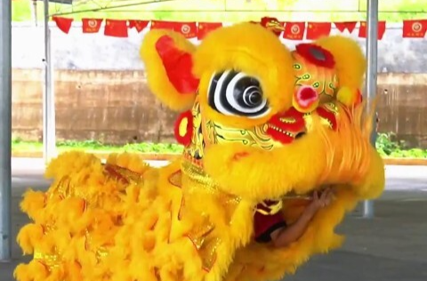 备战2025年湖南省乡村龙狮争霸赛：禅武少年“舞”出新风采
