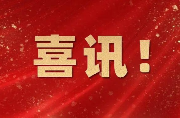 喜讯！湖南金宝来香业有限公司获评“省级乡村车间”