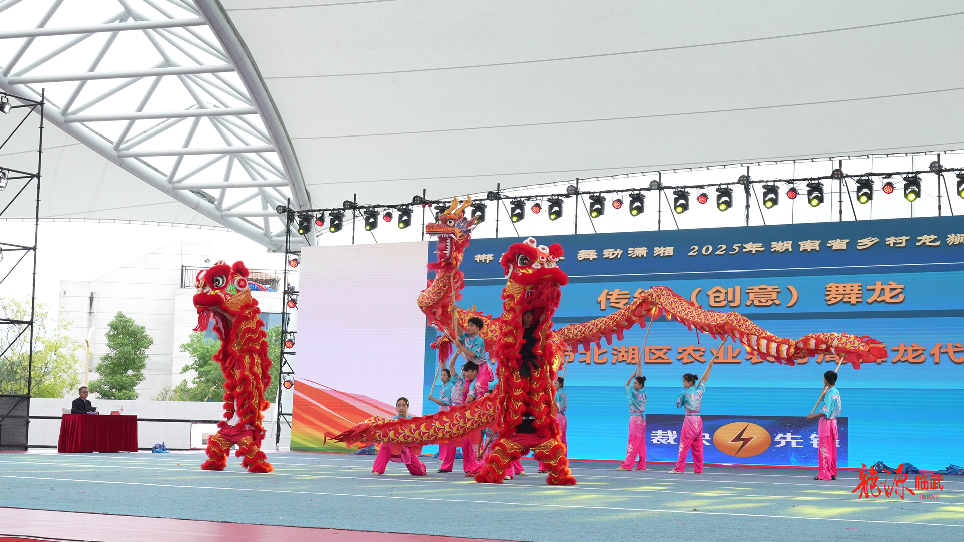 郴品郴味 舞动潇湘 | 龙狮竞技玩出 “新花样”!多元素融合点亮临武赛场