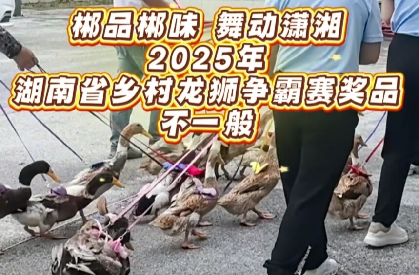 “郴品郴味 舞动潇湘”2025年湖南省乡村龙争霸赛奖品不一般