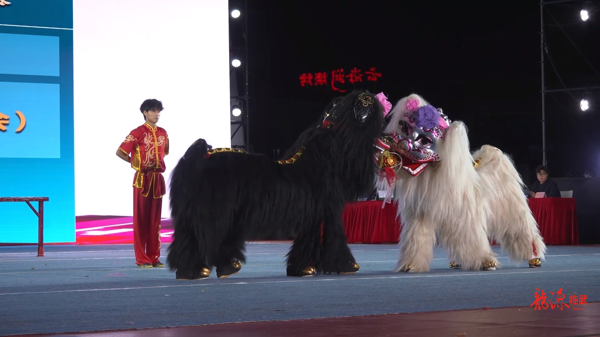 郴品郴味 舞动潇湘  | 龙狮争霸秀“绝活儿”