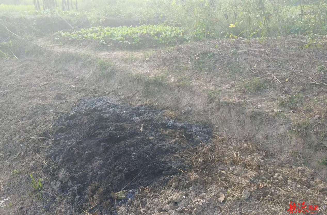 西瑶乡：常态化巡逻筑牢秸秆禁烧“防火墙”