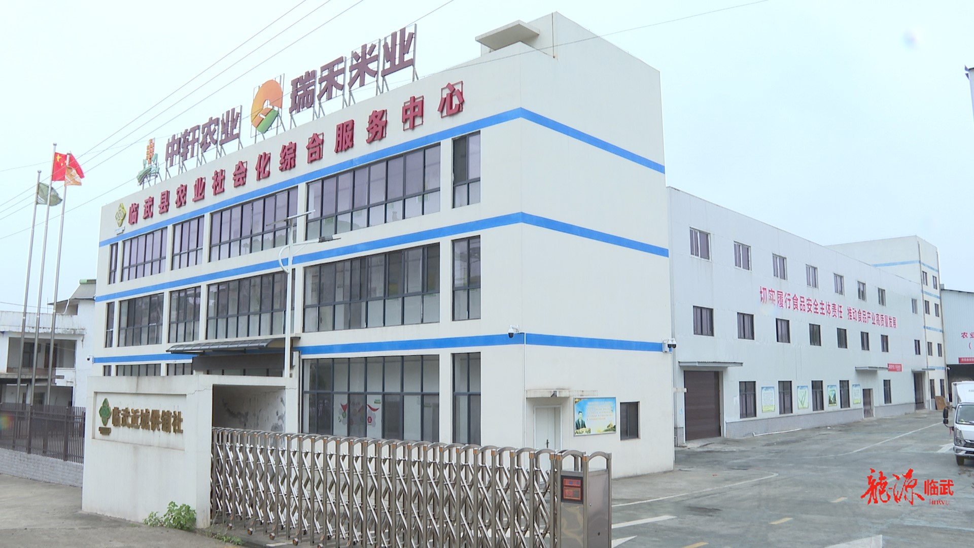 乡村新“号”角｜临武县全力保障粮食安全 确保秋粮颗粒归仓