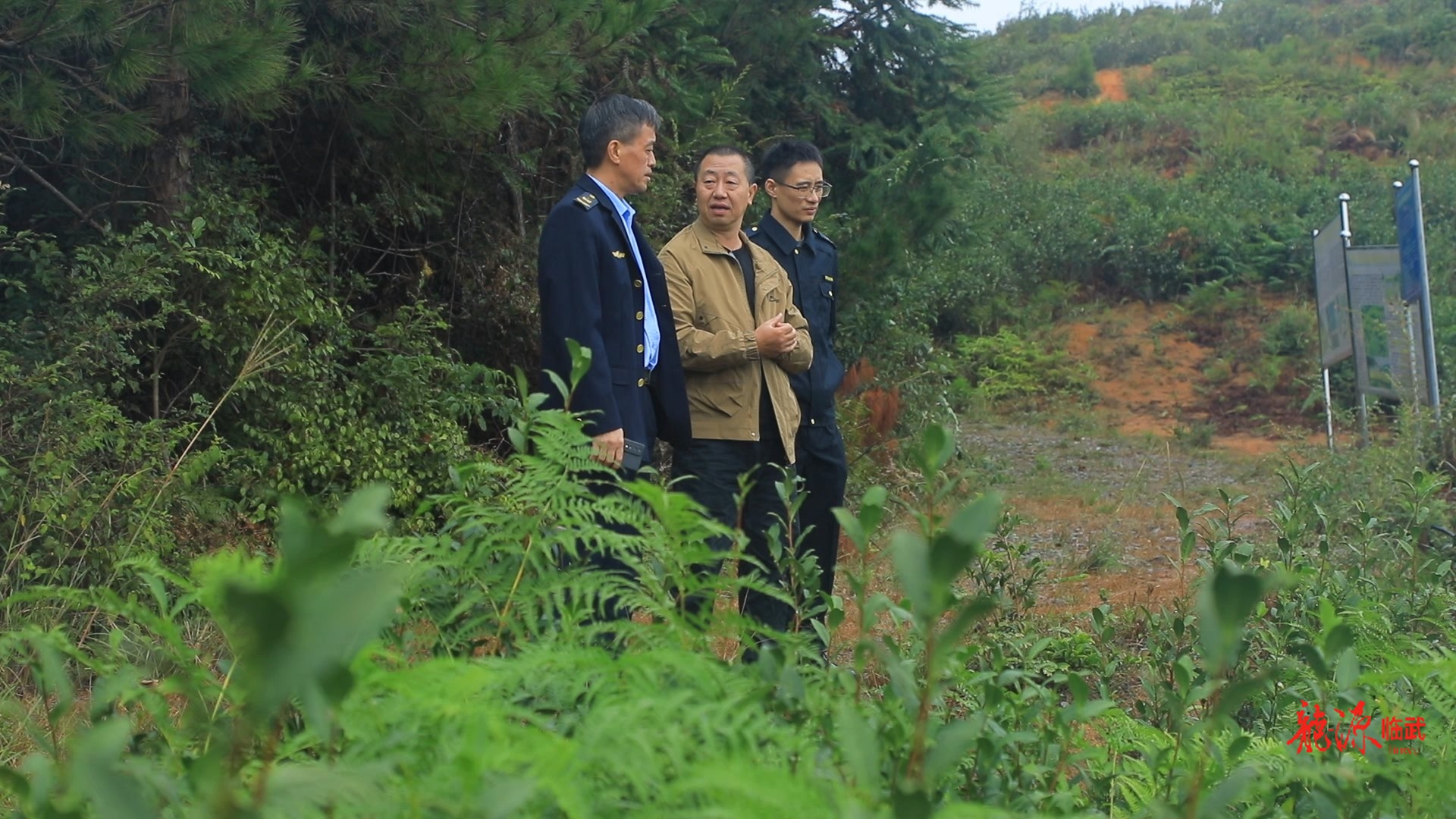 持续推进“六大新行动” 全面实施“七大攻坚”｜标准化引领品质飞跃 东山云雾茶香飘四方