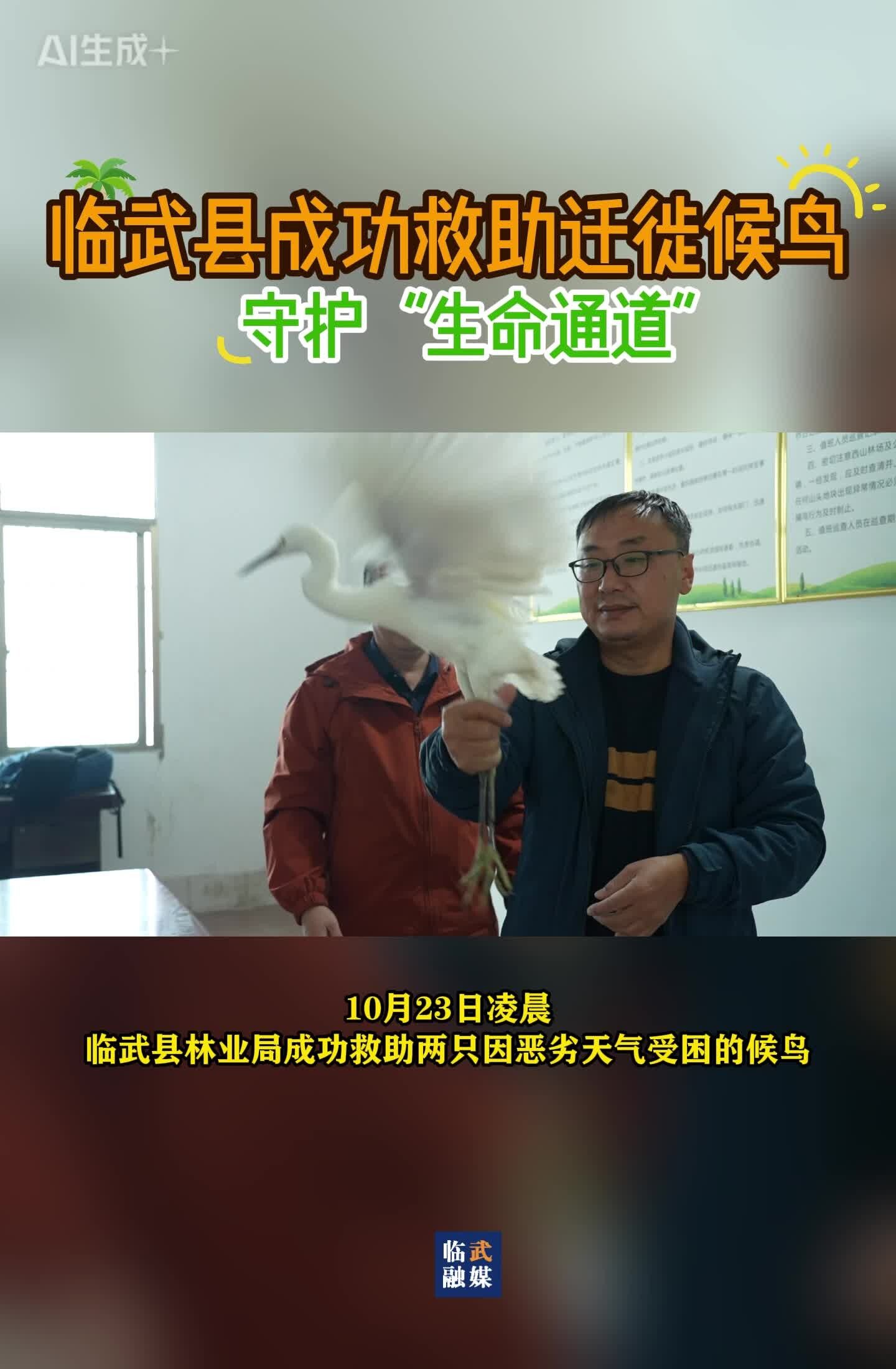 临武县成功救助迁徙候鸟 守护“生命通道”