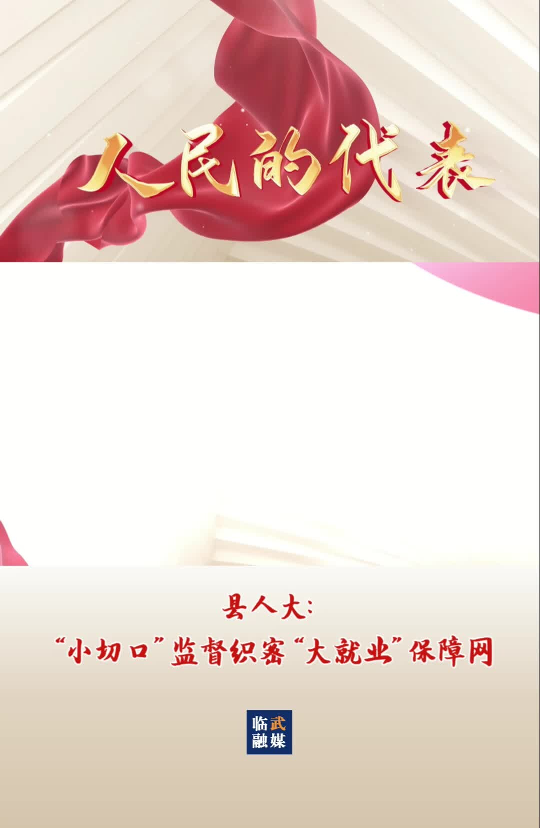 人民的代表｜临武县人大：“小切口”监督织密“大就业”保障网