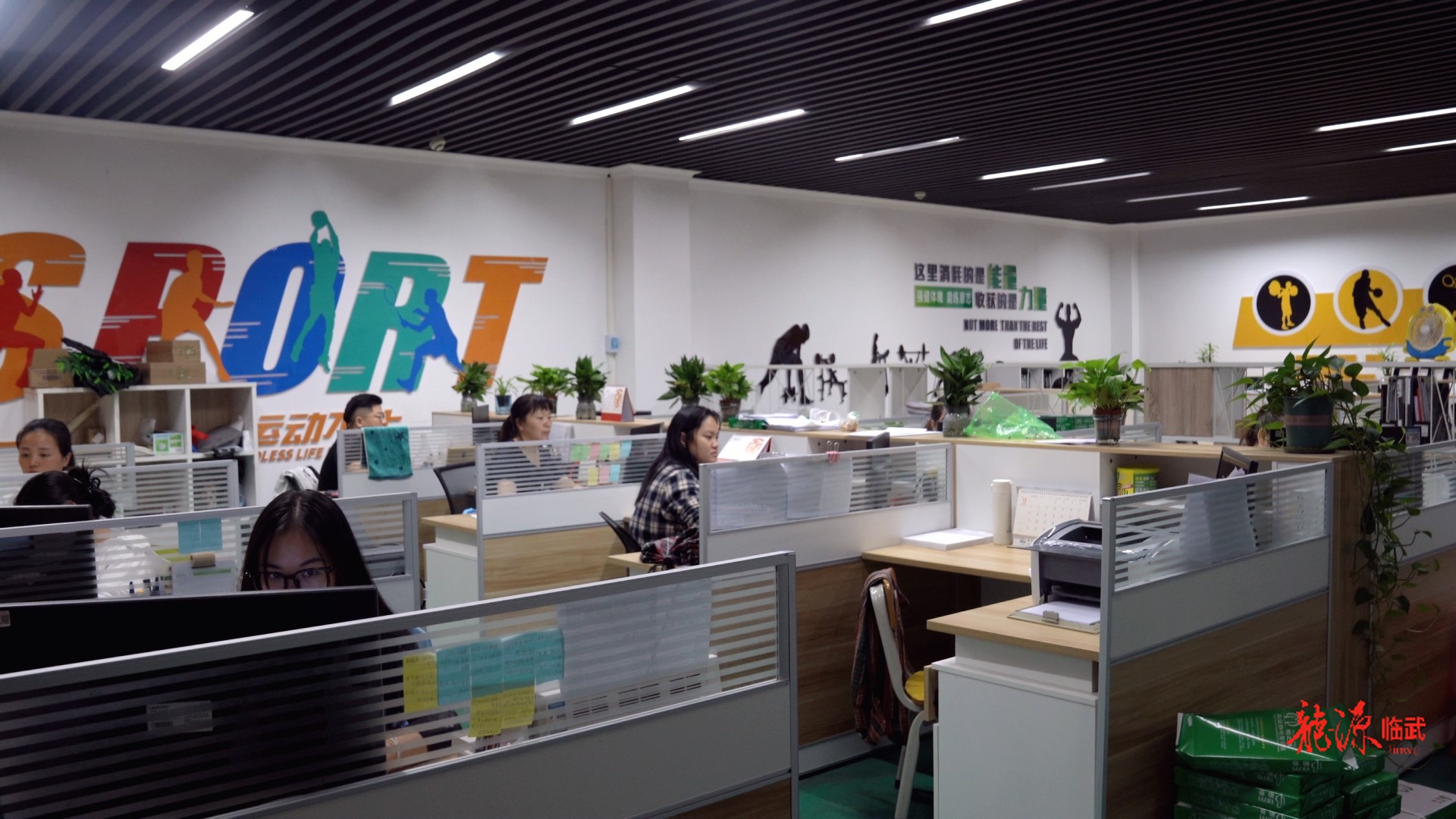 【新湖南】临武县人大：“小切口”监督织密“大就业”保障网