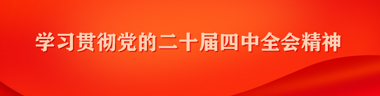 学习贯彻党的二十届四中全会精神