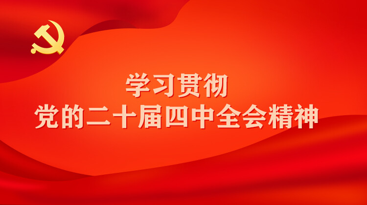 学习贯彻党的二十届四中全会精神