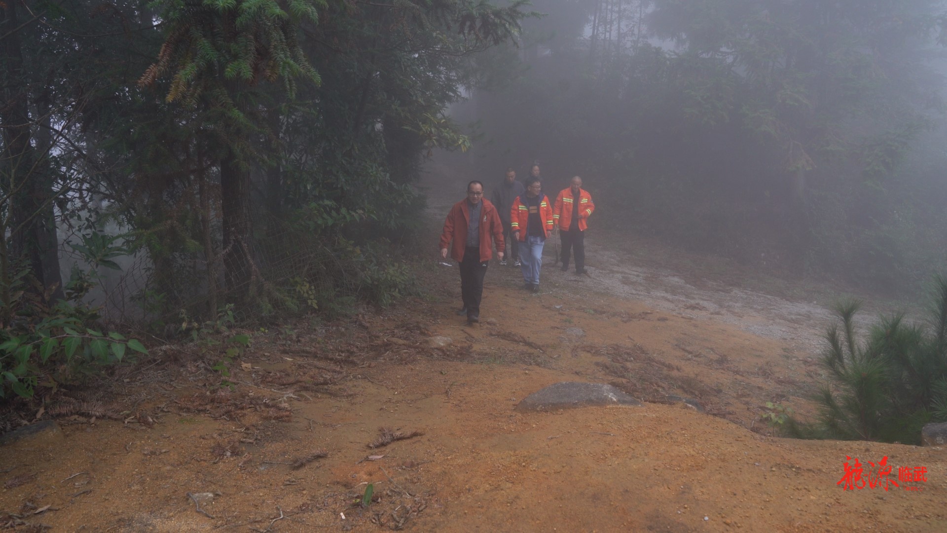 临武县林业局：打出保护 “组合拳”  守好候鸟迁徙 “驿站”