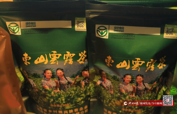 【今日郴州】临武县标准化引领 东山云雾茶提升品质