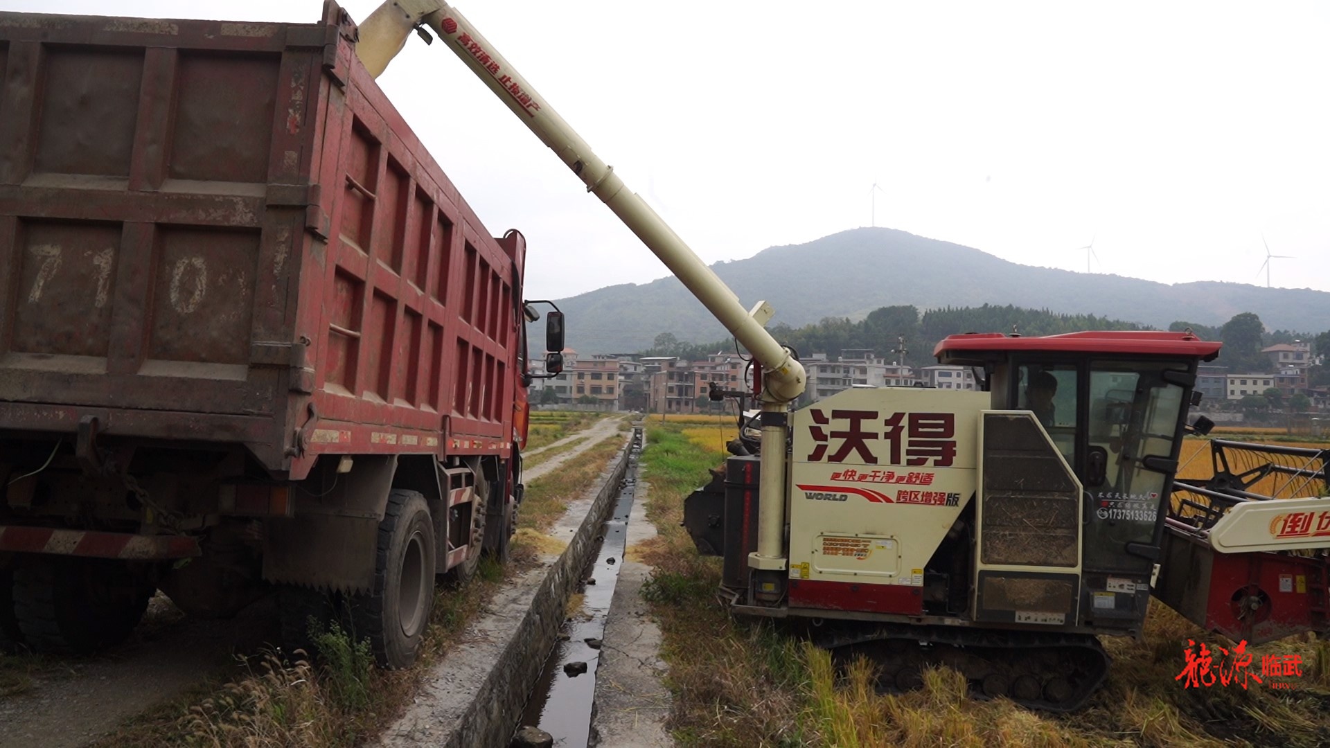 乡村新“号”角｜水东：“订单+政策”双保障 铺就农户增收路