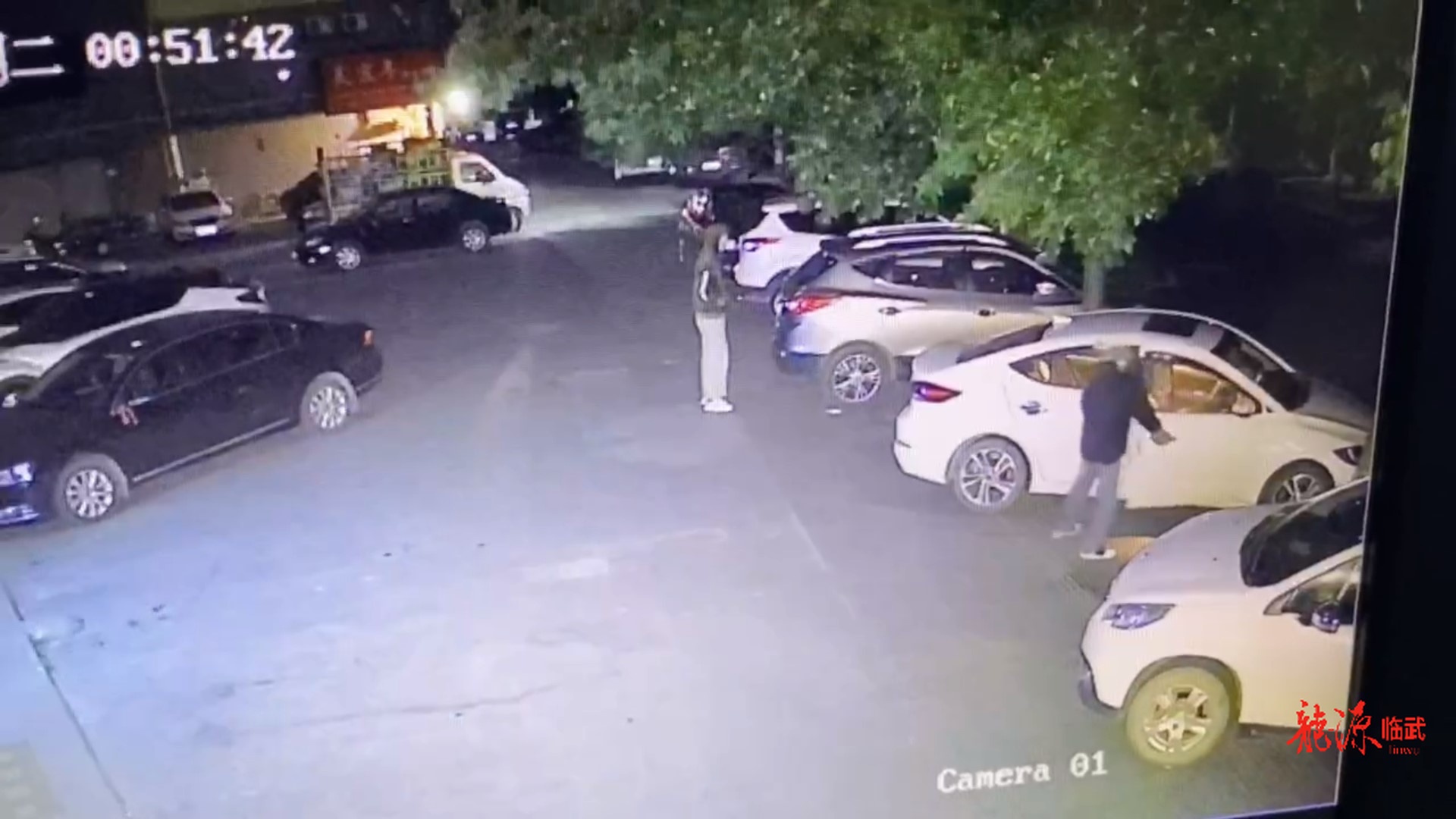 下车切记锁车门！临武县警方破获“拉车门”盗窃案