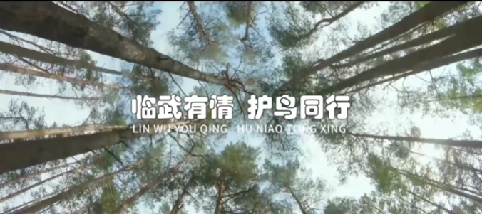 【新湖南】视频 | 临武有情 护鸟同行