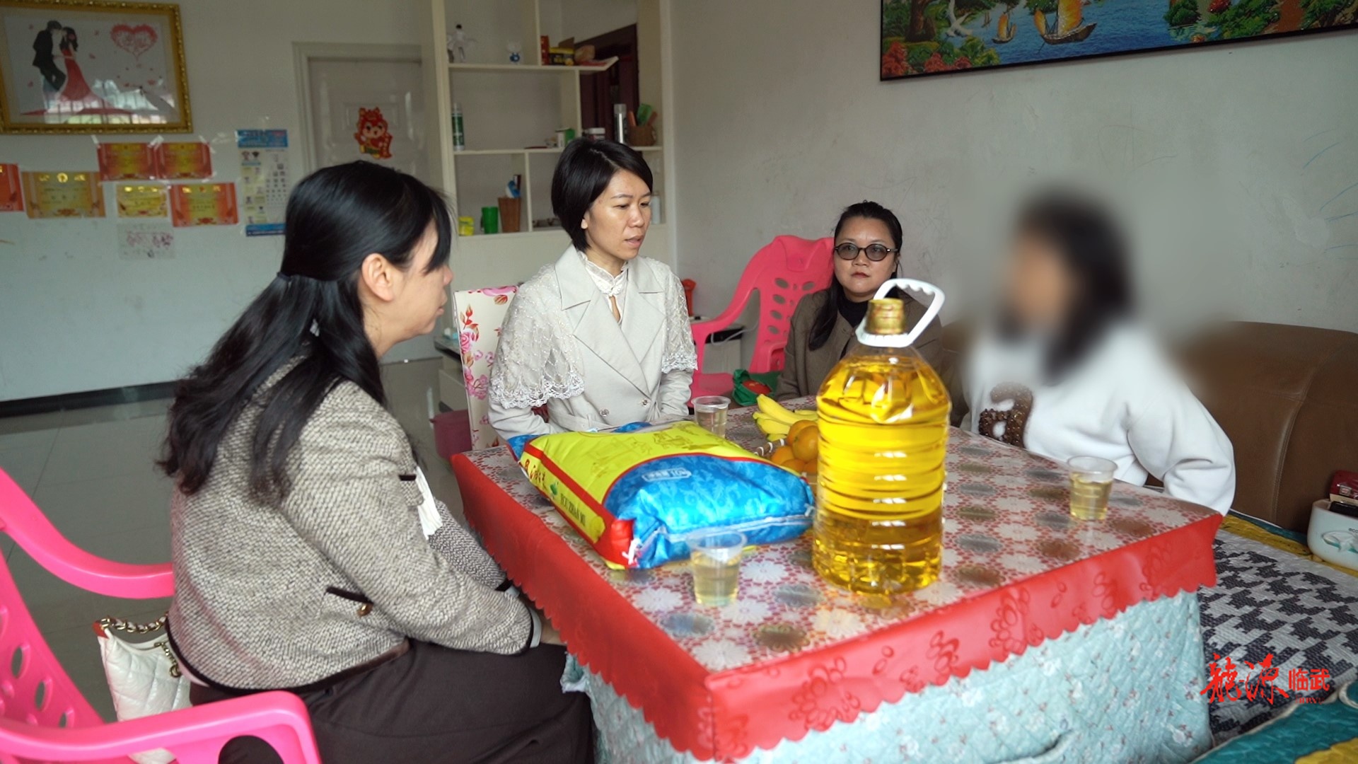 临武县妇联开展“两癌”救助妇女回访活动