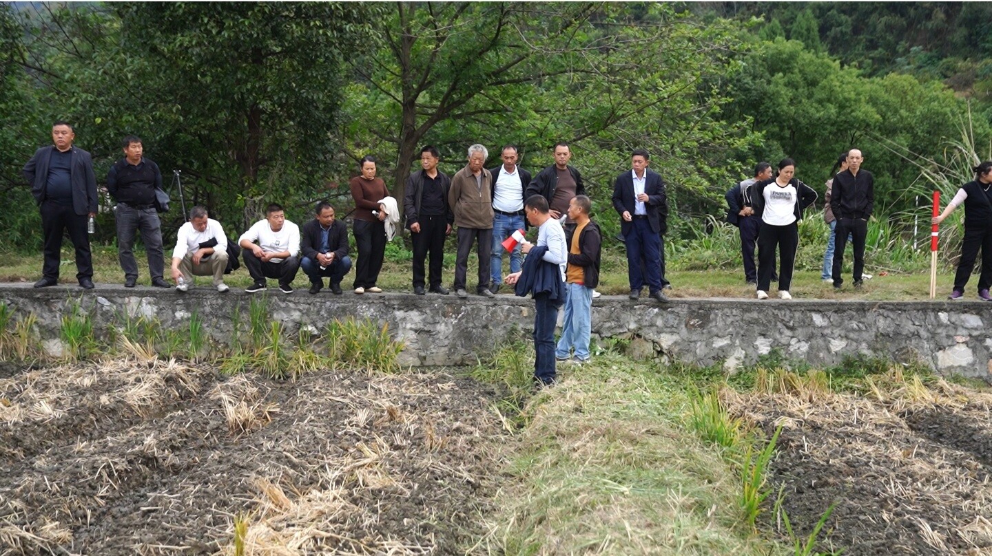 临武县开展2025年油菜高产栽培技术培训