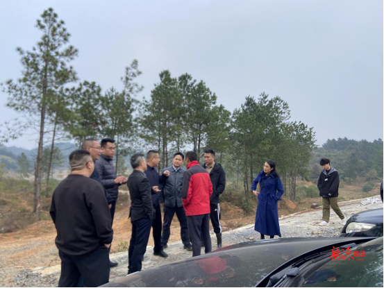 临武人大一线督导快速化解“库中库”安全隐患