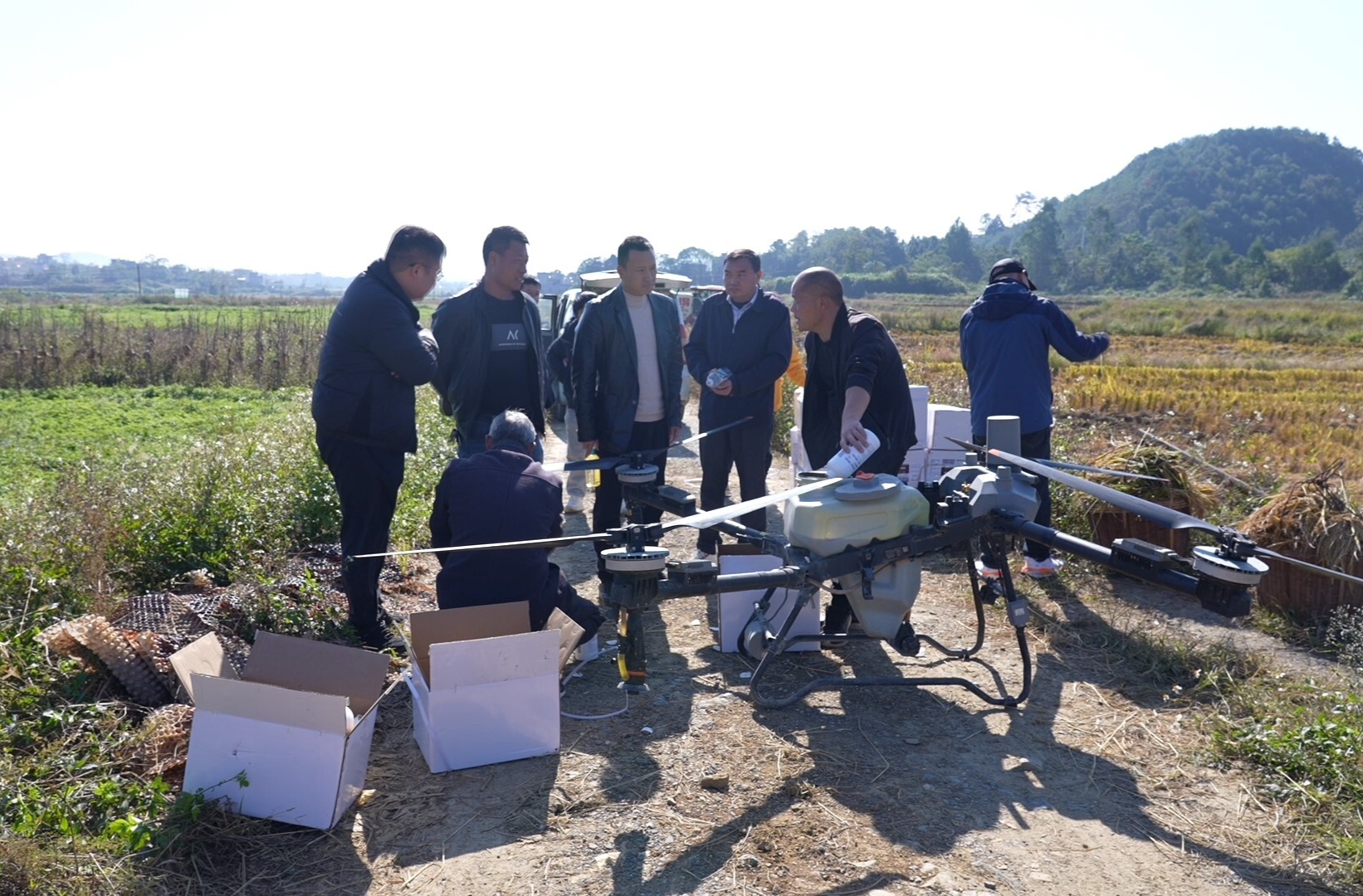 临武县首次推广秸秆腐熟还田 “生态包袱”变“绿色财富”