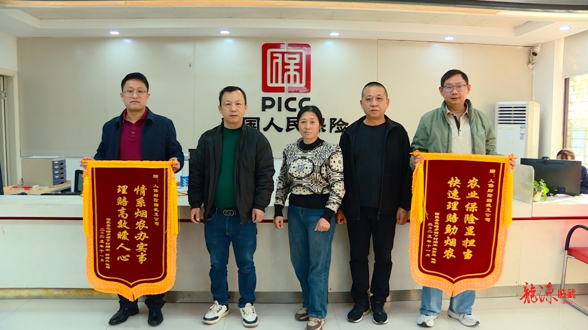 烟田受灾获理赔 政策性农业保险为民撑起“保护伞”