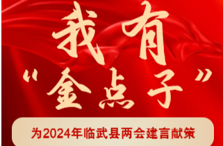 我有“金点子”为2024年临武县两会建言献策