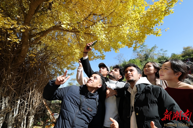 【新湖南】感受乡村之美