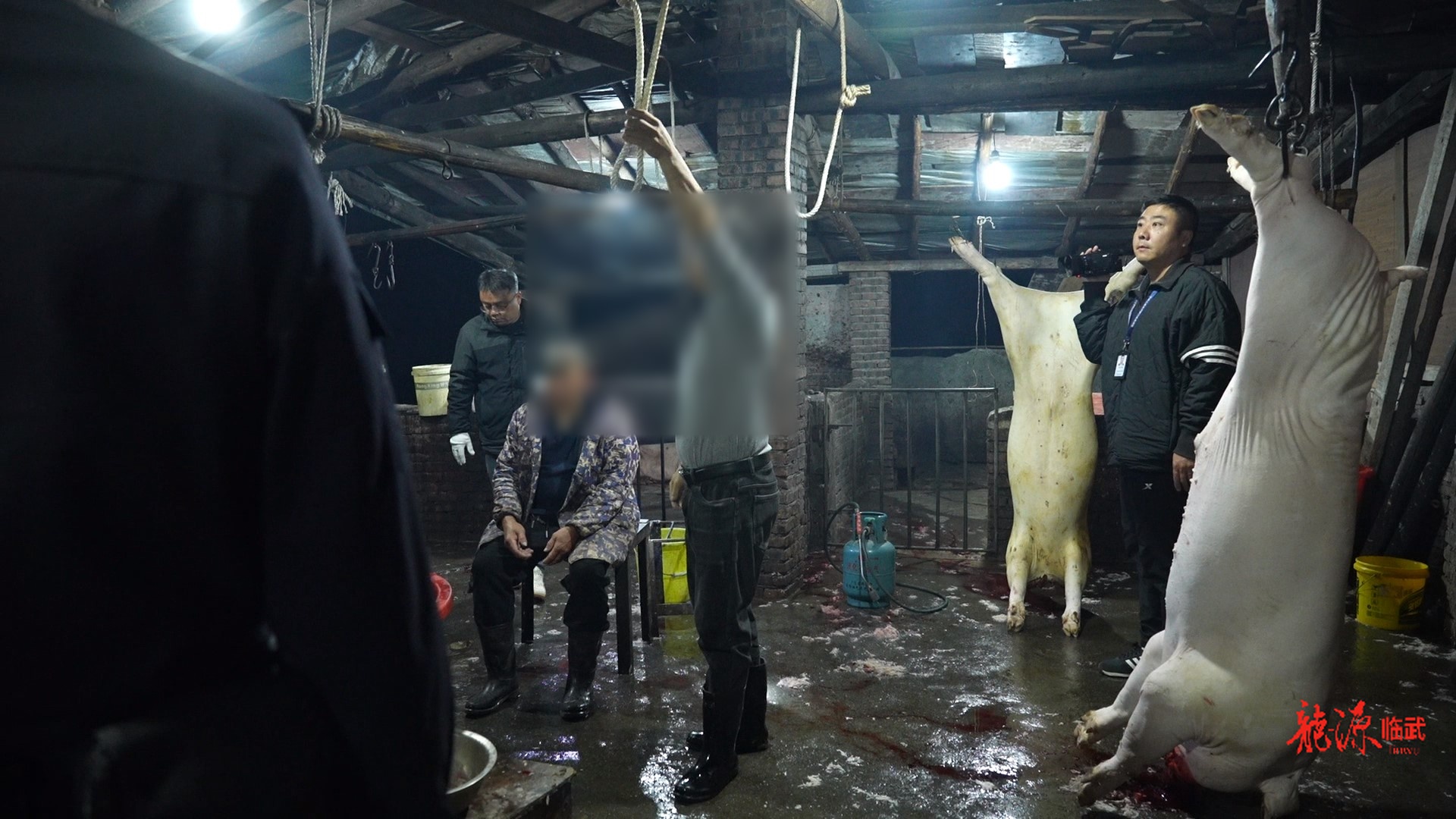 临武县成功捣毁一生猪私屠滥宰窝点