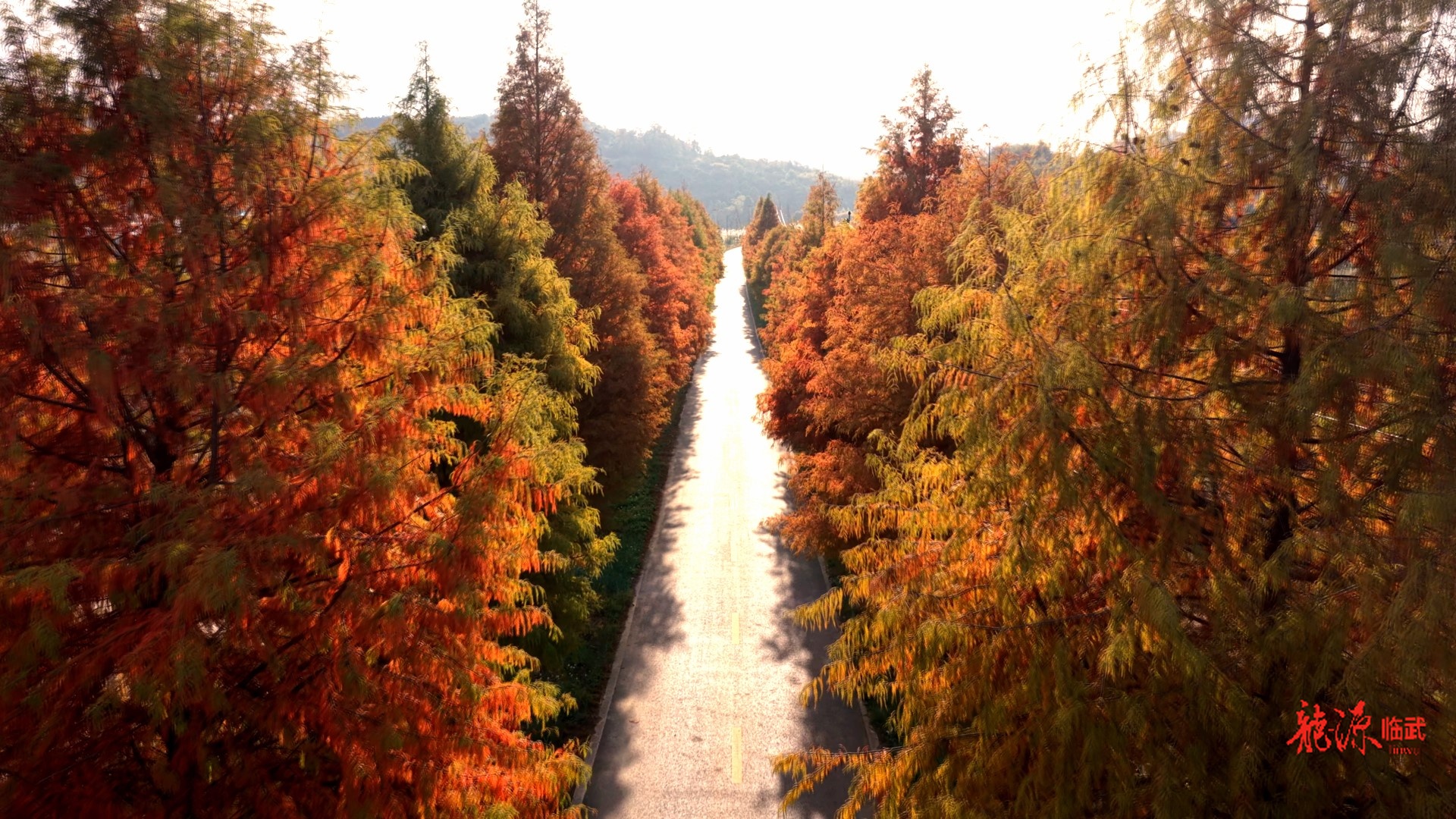 冬日限定！汾市旅游公路又“红”啦！