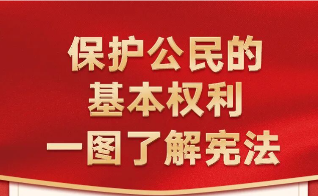 保护公民的基本权利 一图了解宪法