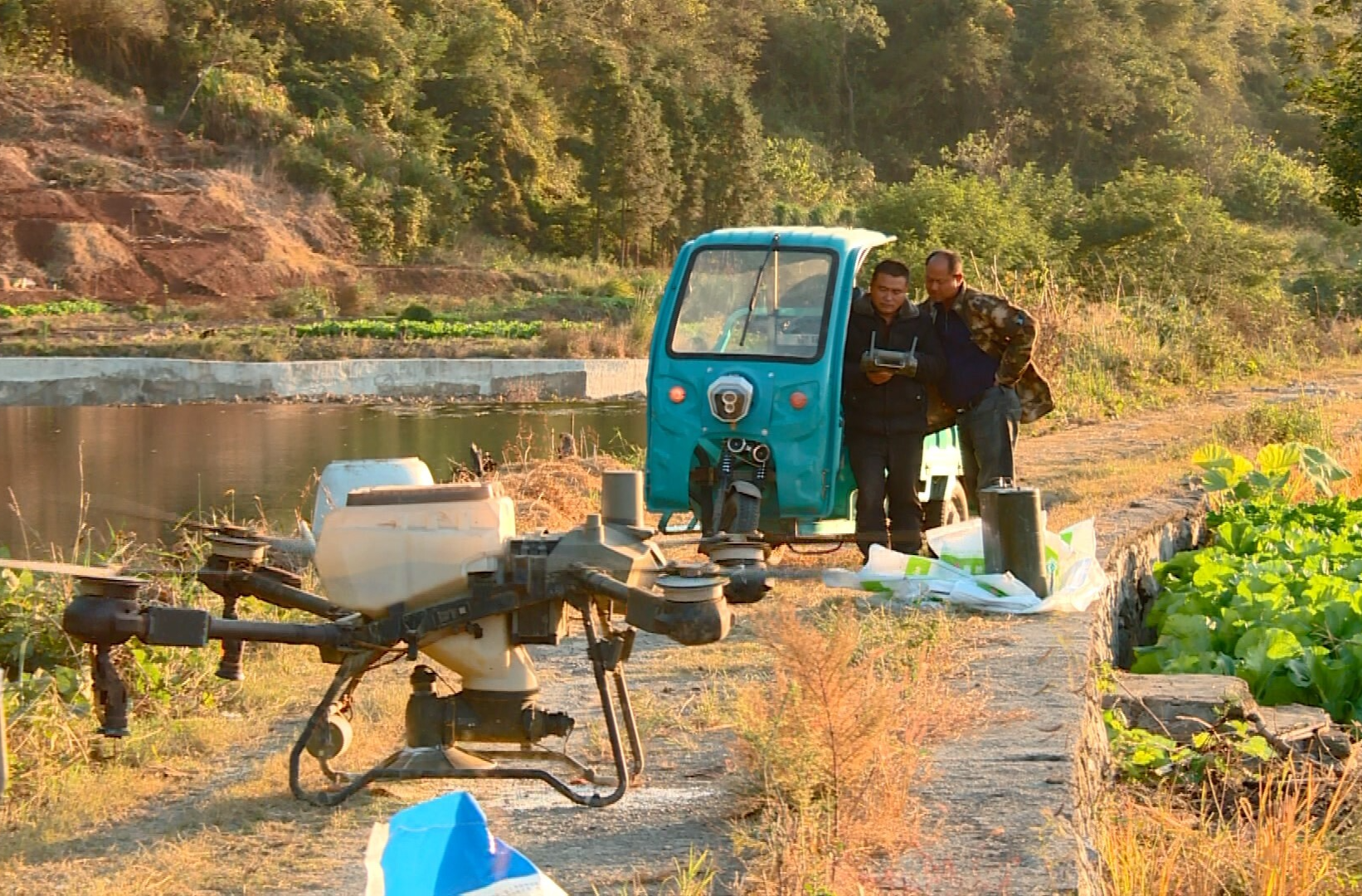 乡村新“号”角｜临武县秋冬种接近尾声  5.8万亩油菜播种全面完成