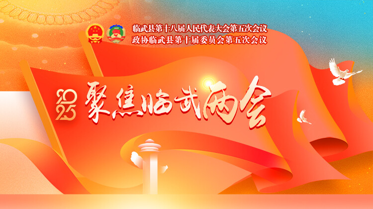 聚焦2025临武两会