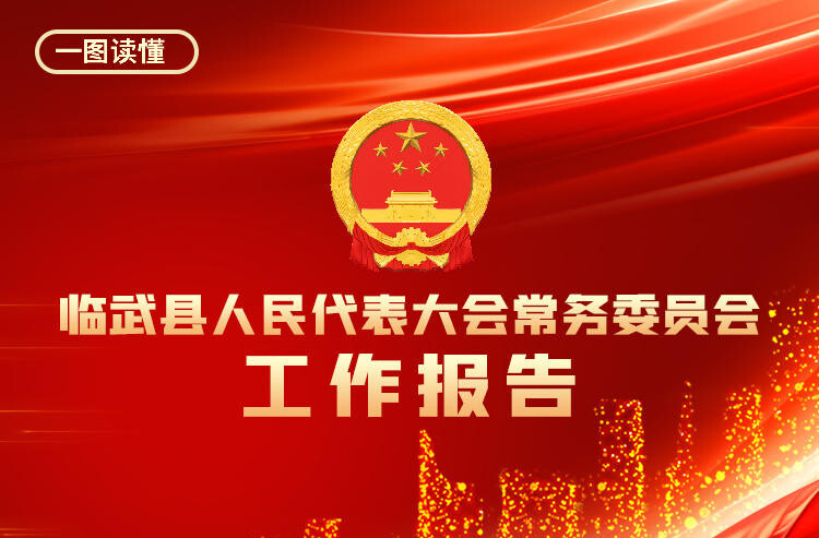 一图速览｜2025年临武县人大常委会工作报告