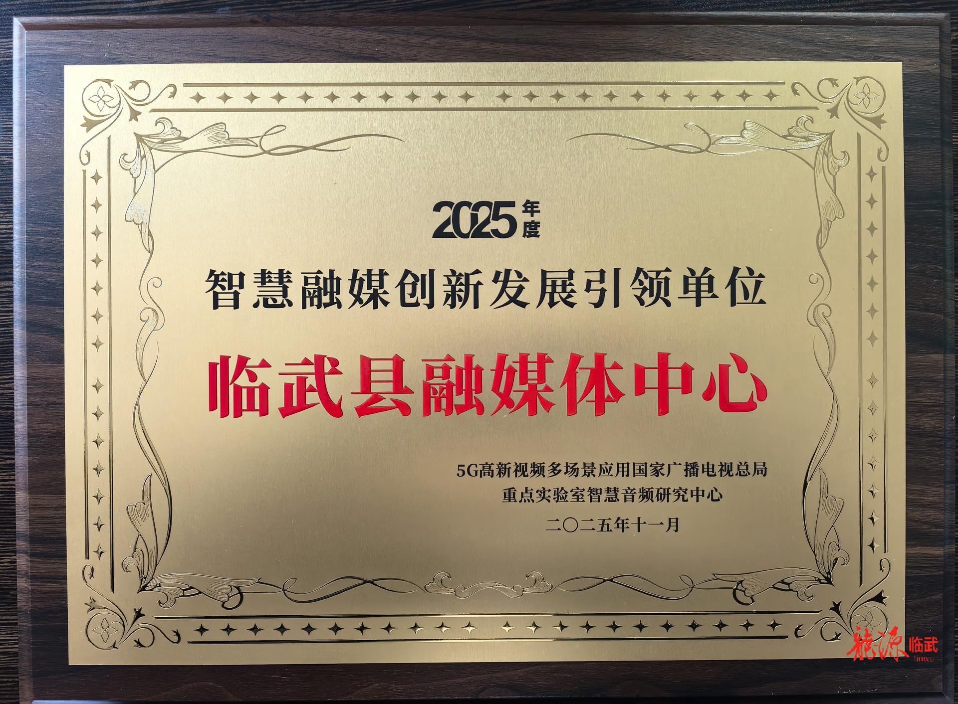 临武融媒喜获国家级“引领单位”称号