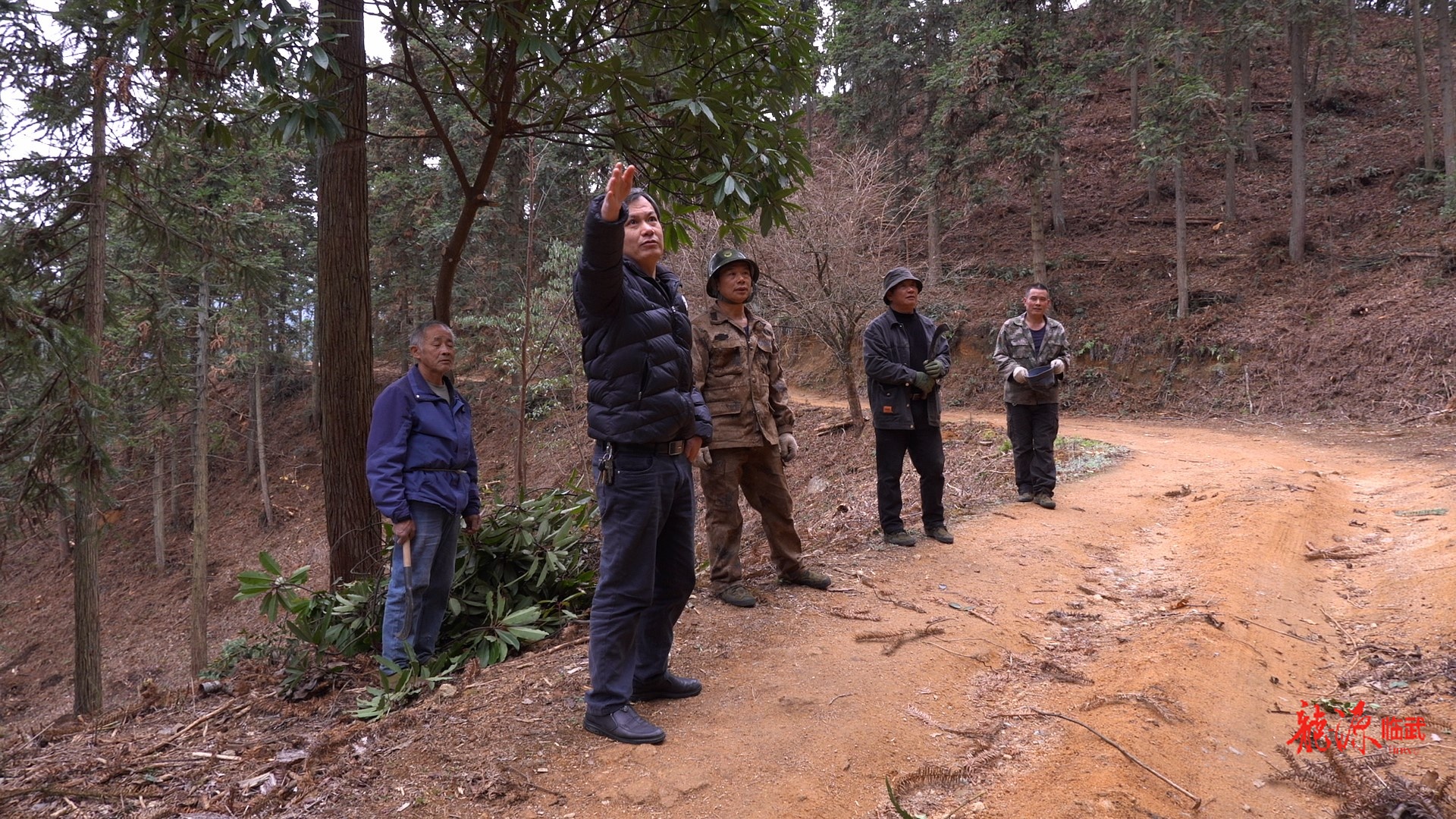 西山国有林场：冬日忙管护 绿色添动能