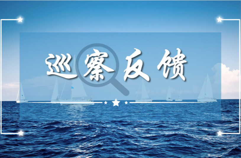 十三届县委第八轮巡察完成反馈工作