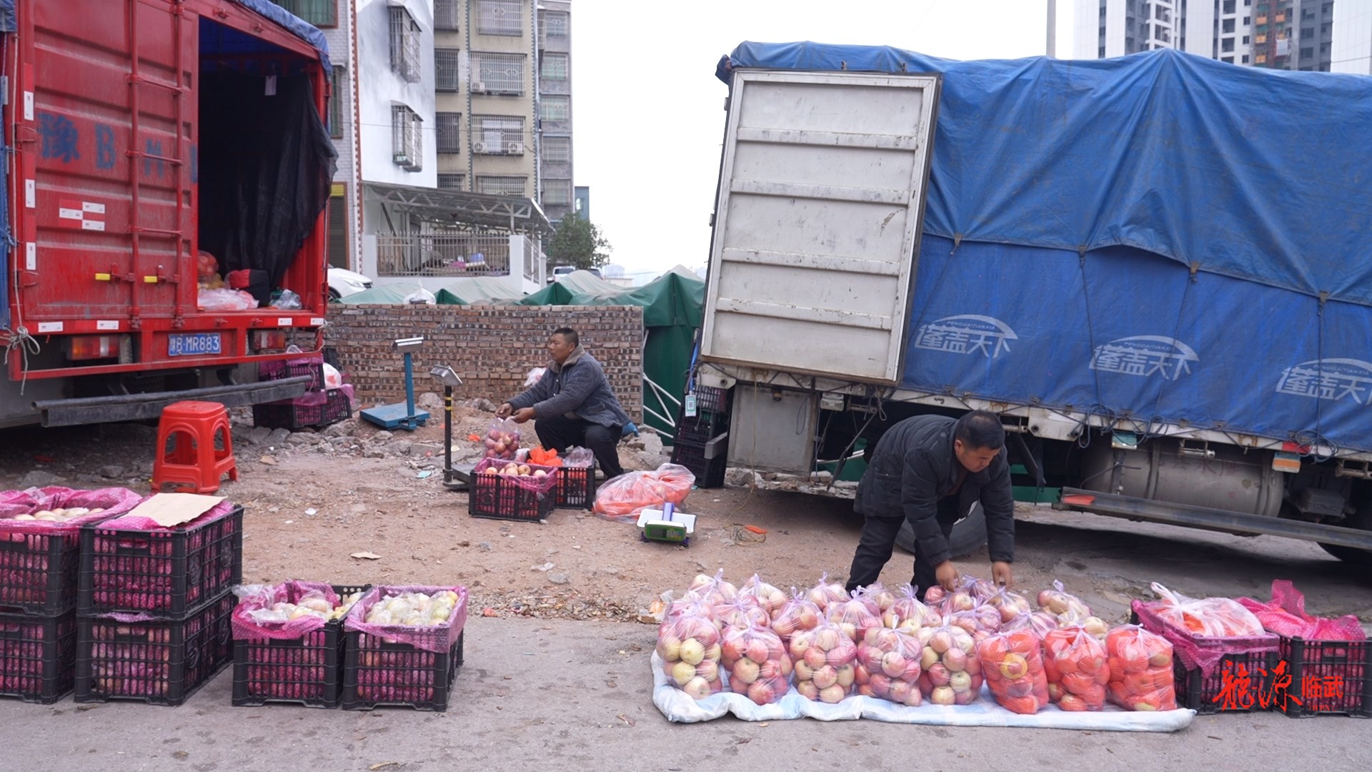 【新湖南】一场跨越地域的爱心接力，折射出临武的温度与善意