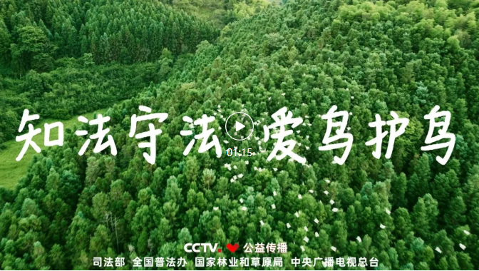 知法守法 爱鸟护鸟