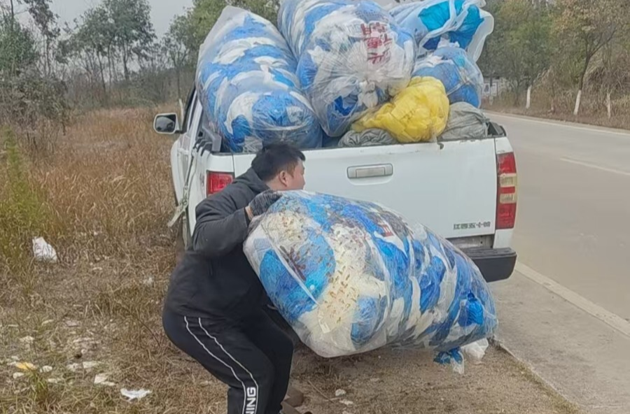 新春走基层｜楚江镇：扮“靓”乡村过大年