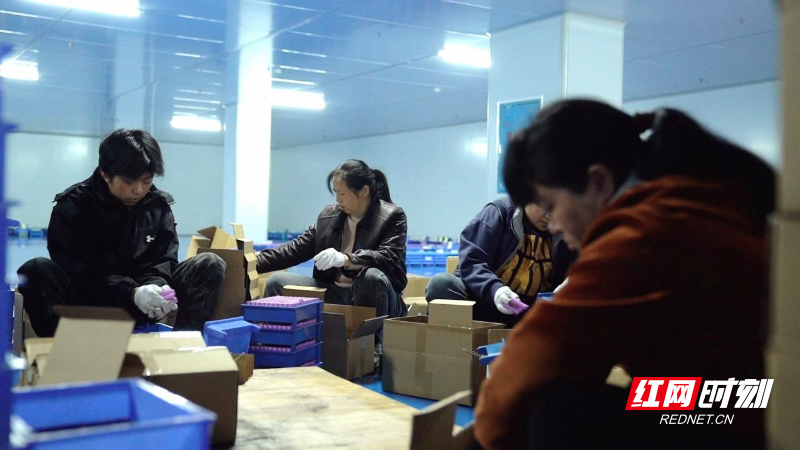 【红网时刻】湖南沃尔顿：抢抓“开门红” 复工复产订单旺