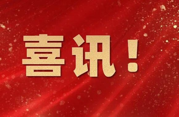 喜讯！临武县自然资源局获评“全省自然资源系统2025年度先进集体”