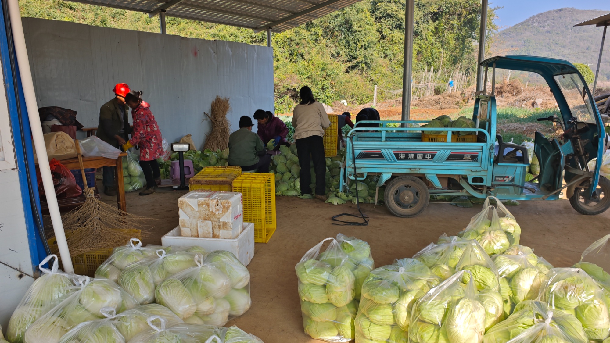 【央广网】从“沉睡土地”到“希望田园” 湖南临武发投书写现代农业发展答卷