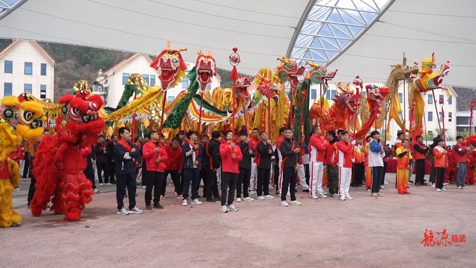 我们的节日·元宵｜新闻特写：龙狮欢腾闹元宵  非遗传承谱新篇