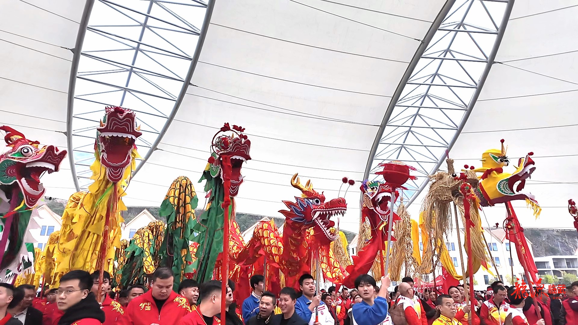 寻脉“龙源临武”：千年舞龙，何以薪火相传