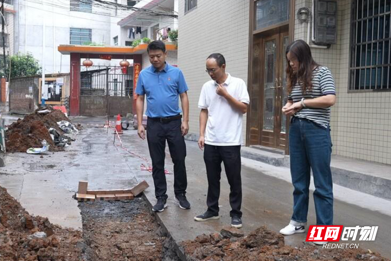 【红网时刻】新时代老兵新传丨陈果：乡野绘新篇 实干结“果”实