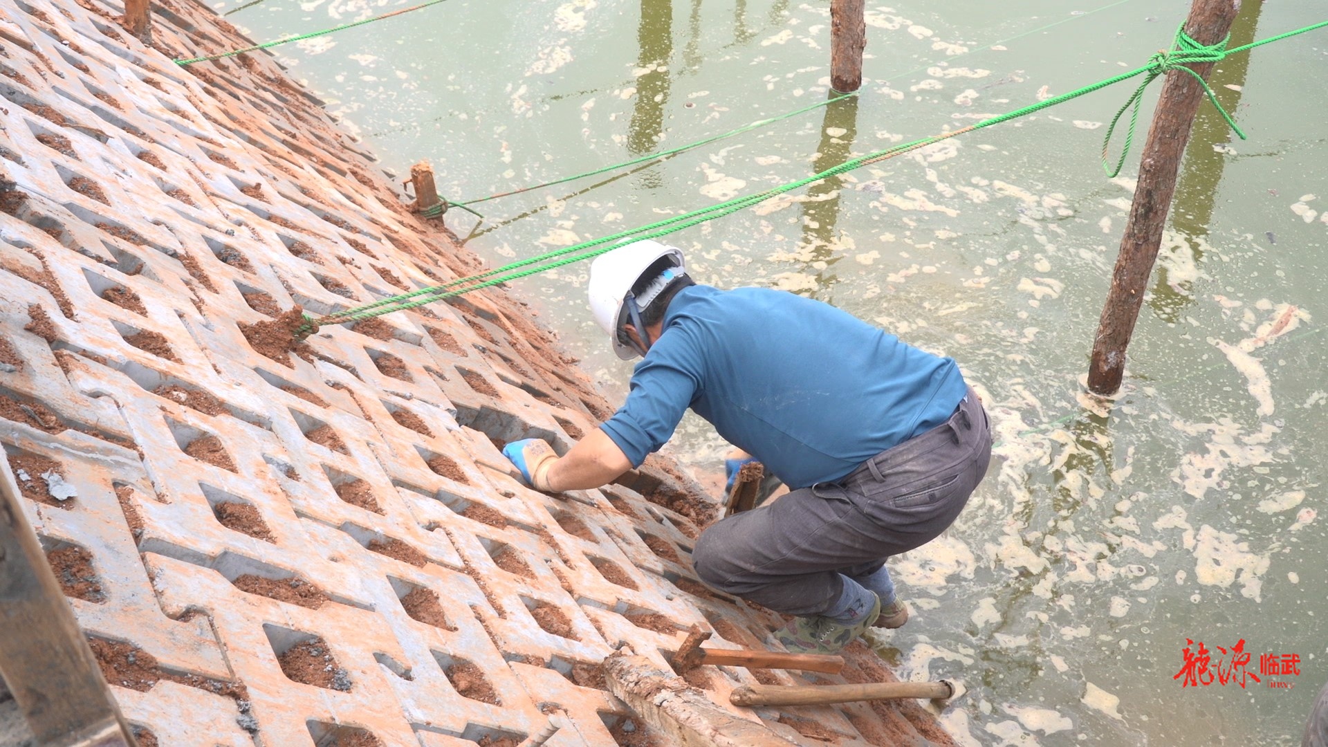开局八好 乘势而上｜守护一江碧水！临武县全面推进农业面源污染治理