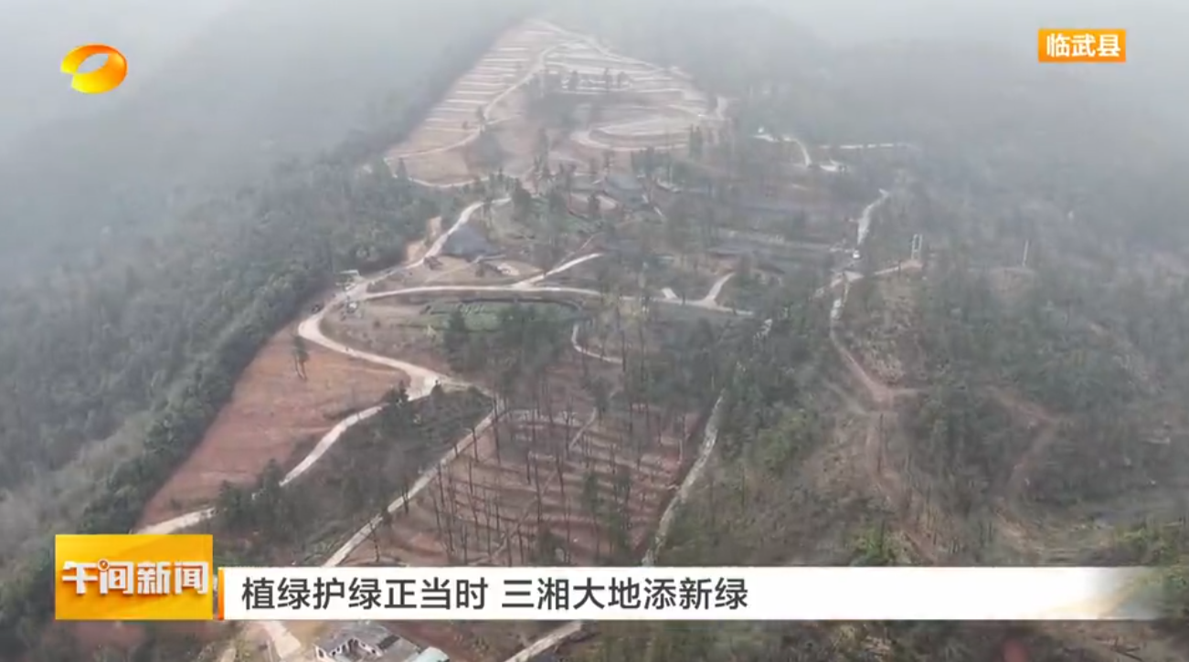 【湖南卫视午间新闻】植绿护绿正当时 三湘大地添新绿