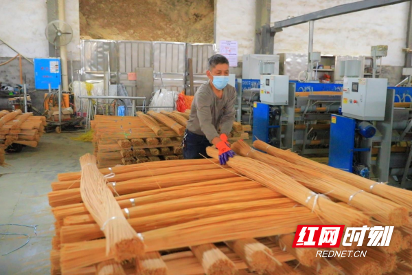 【红网时刻】临武县：一根竹的“绿色循环”之旅