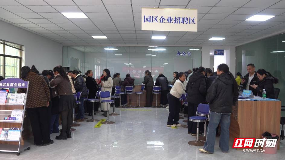 【红网时刻】临武县：“务工直通车”开进厂区 三维服务“春风”吹暖就业路