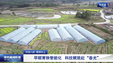 【郴州新闻联播】开局八好 乘势而上：早稻育秧智能化 科技赋能赶“春光”