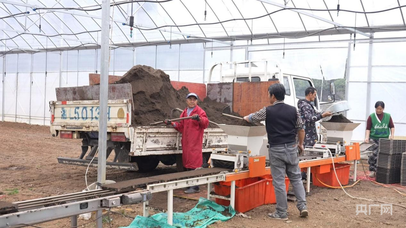 【央广网】湖南临武：智能大棚育秧忙 科技赋能助春耕